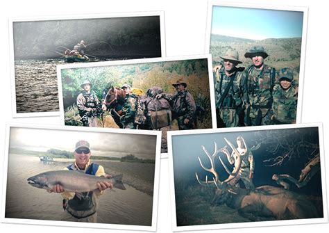 hunting violation lawyers|Denver Wildlife Defense Lawyer .